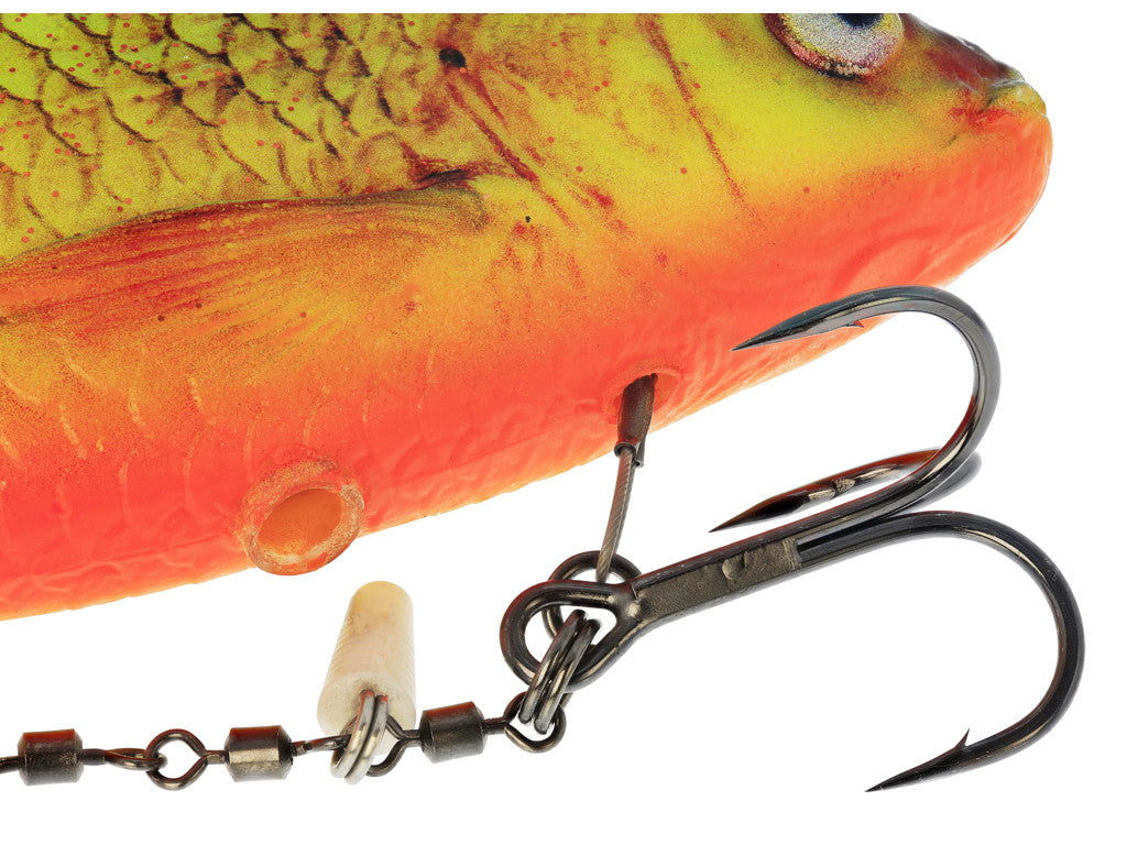 Ricky the Roach inline REAL ROACH / 15 CM / 52 GRAM