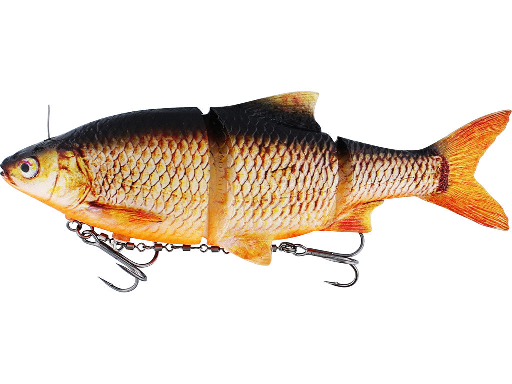 Ricky the Roach inline REAL ROACH / 15 CM / 52 GRAM