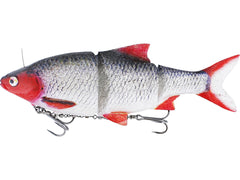 Ricky the Roach inline REAL ROACH / 15 CM / 52 GRAM