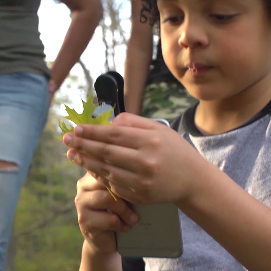 MicroMini Mobilkameramikroskop 20x EN STL