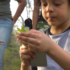 MicroMini Mobilkameramikroskop 20x EN STL