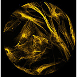 Fluorescensmikroskop iScope 40, 100, 400 och 1000x EN STL
