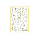 Blommor - Plansch EN STL