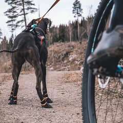 Bike Antenna, X Cykelfäste för Hund EN STL