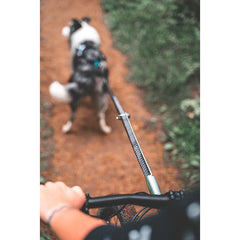 Bike Antenna, X Cykelfäste för Hund EN STL