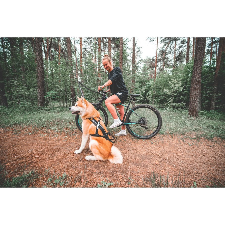 Bike Antenna, X Cykelfäste för Hund EN STL