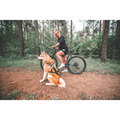 Bike Antenna, X Cykelfäste för Hund EN STL