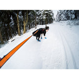 Touring Bungeekoppel 2 m ORANGE / EN STL