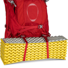 Ariel Plus 70 CARNELIAN RED / WM/L