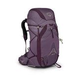 Eja 58 PURPLE DUSK / WM/L