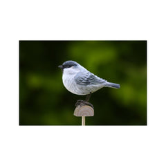 DecoBird Entita EN STL