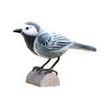 DecoBird Sädesärla EN STL