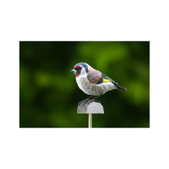 DecoBird Steglits EN STL