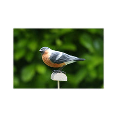 DecoBird Domherre EN STL