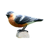 DecoBird Domherre EN STL