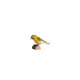DecoBird Grönsiska EN STL