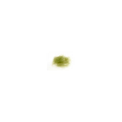 STF Dubbing OLIVE / EN STL