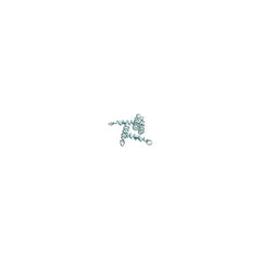 Instant Rattle 5-Pack TRANSPARENT / EN STL
