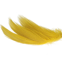 Mallard Barred Select GUL / EN STL