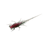 Bearnie 6-styck CHERRY BOMB / 43 MM