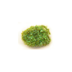 Cactus Chenille OLIVE / EN STL