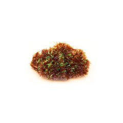 Cactus Chenille BROWN / EN STL