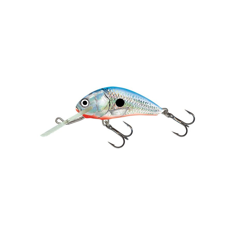 Hornet Floating 6 cm Wobbler SILVER BLUE SHAD / EN STL