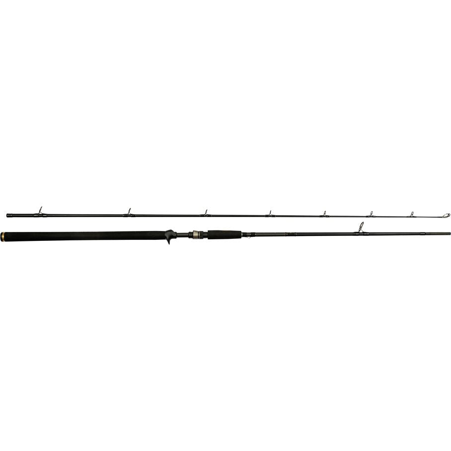 W3 Powercast-T 2nd Spinnspö 8'3