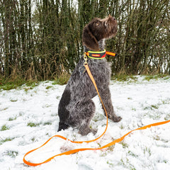 Trail Spårhalsband Röd och Gul Snabbkoppling S