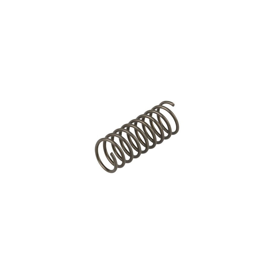 AR-15 delar FORWARD ASSIST SPRING
