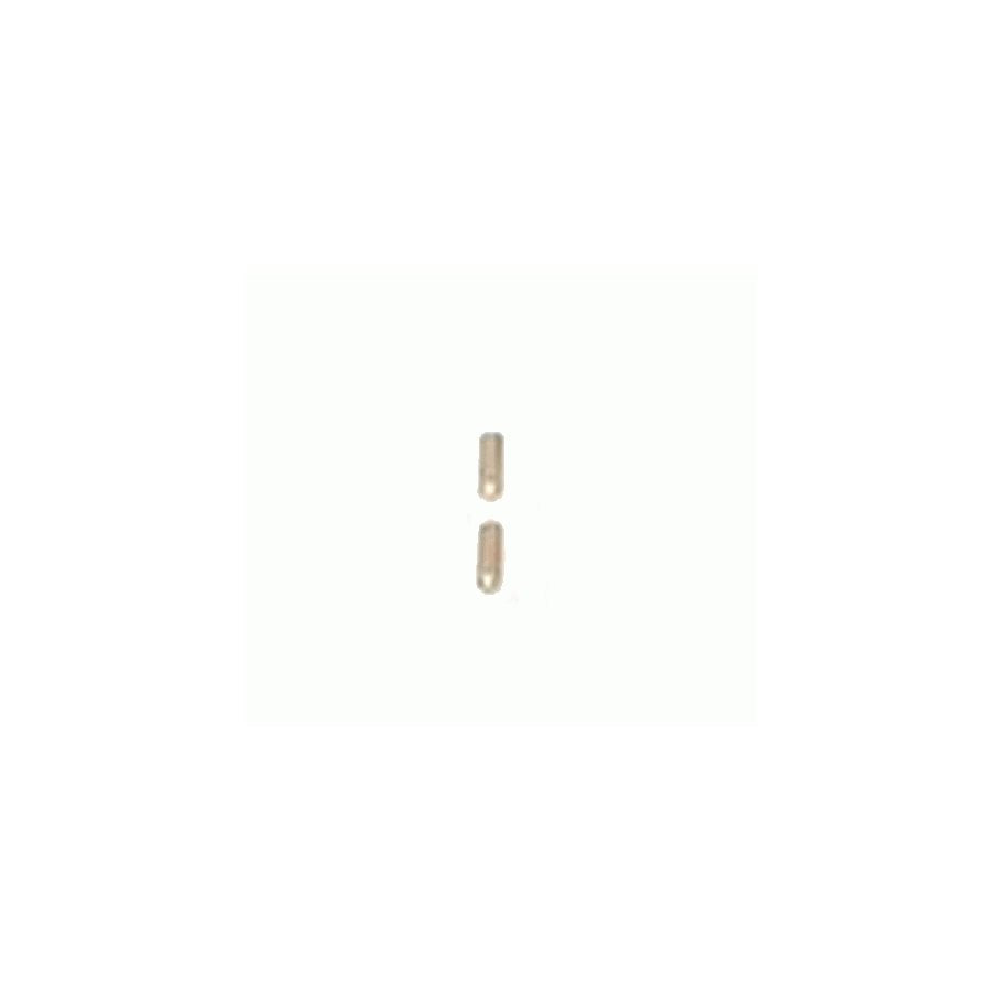 AR-15 delar PIN, PIVOT DETENT