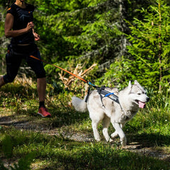Freemotion Dragsele STORLEK #7 - NACKOMKRETS: 44-48 CM