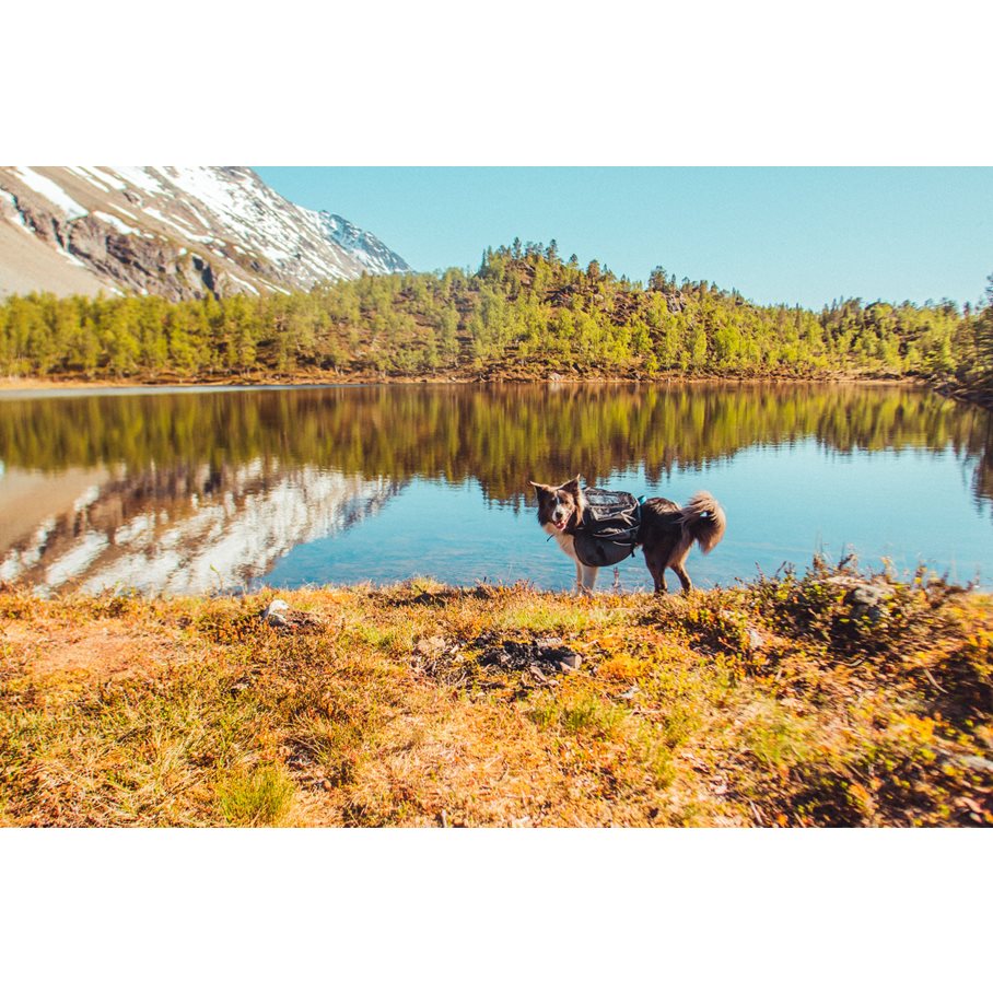 Amundsen pack, Klövjeväska Hund L