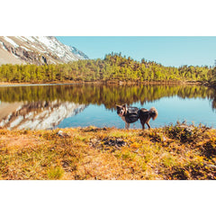 Amundsen pack, Klövjeväska Hund L