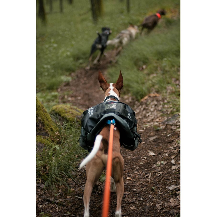Amundsen pack, Klövjeväska Hund L