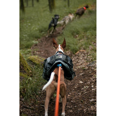 Amundsen pack, Klövjeväska Hund L