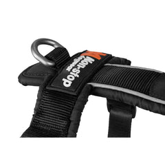 Line 5.0 Sele till Hund ORANGE / STL 6