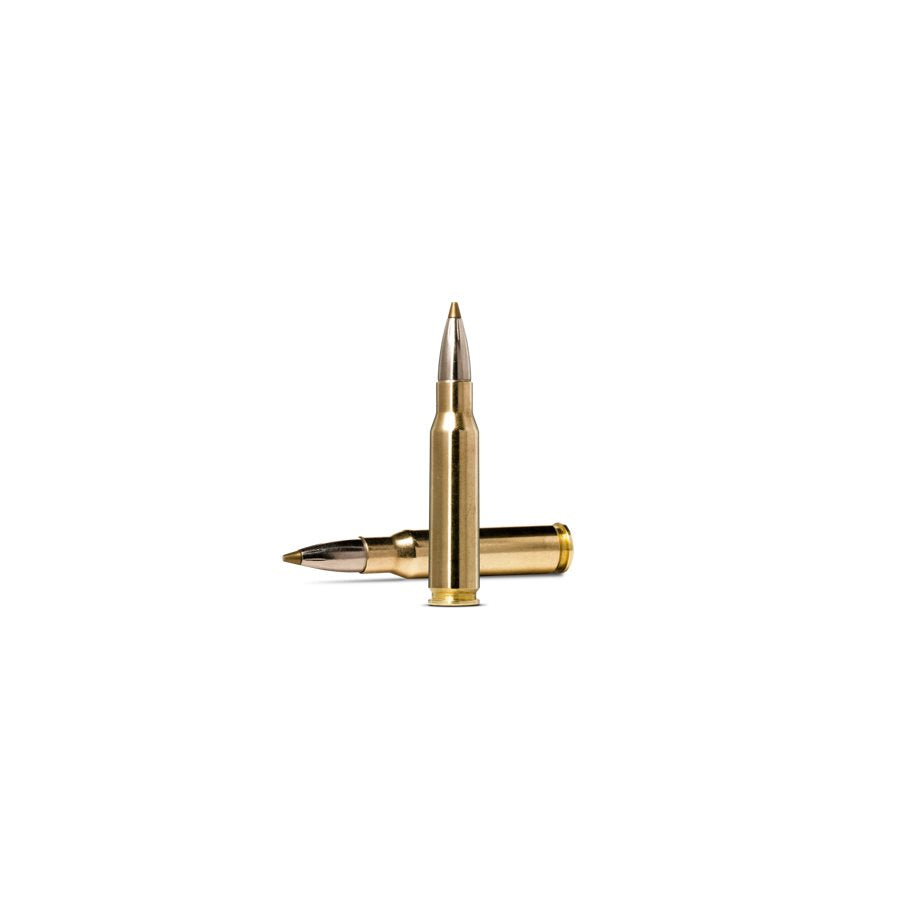 Evostrike .308 WIN / 139 GR / 9 G / 20 ST