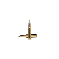 Evostrike .308 WIN / 139 GR / 9 G / 20 ST