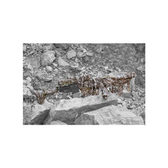 Rifle-Camo CONCAMO BEIGE / EN STL