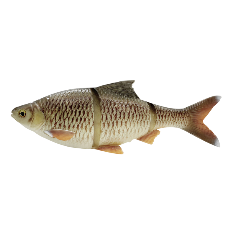 Line Thru Roach SS 32 cm BREAM / 32 CM / 420 GRAM