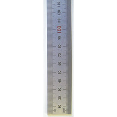Stållinjal 60 CM