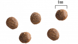 Dog Adult All Breed Kyckling och Potatis, 2kg eller 10 kg SMAK KYCKLING OCH POTATIS & MÄNGD 2 KG