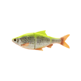 Line Thru Roach 25cm SS LEMON / 25 CM