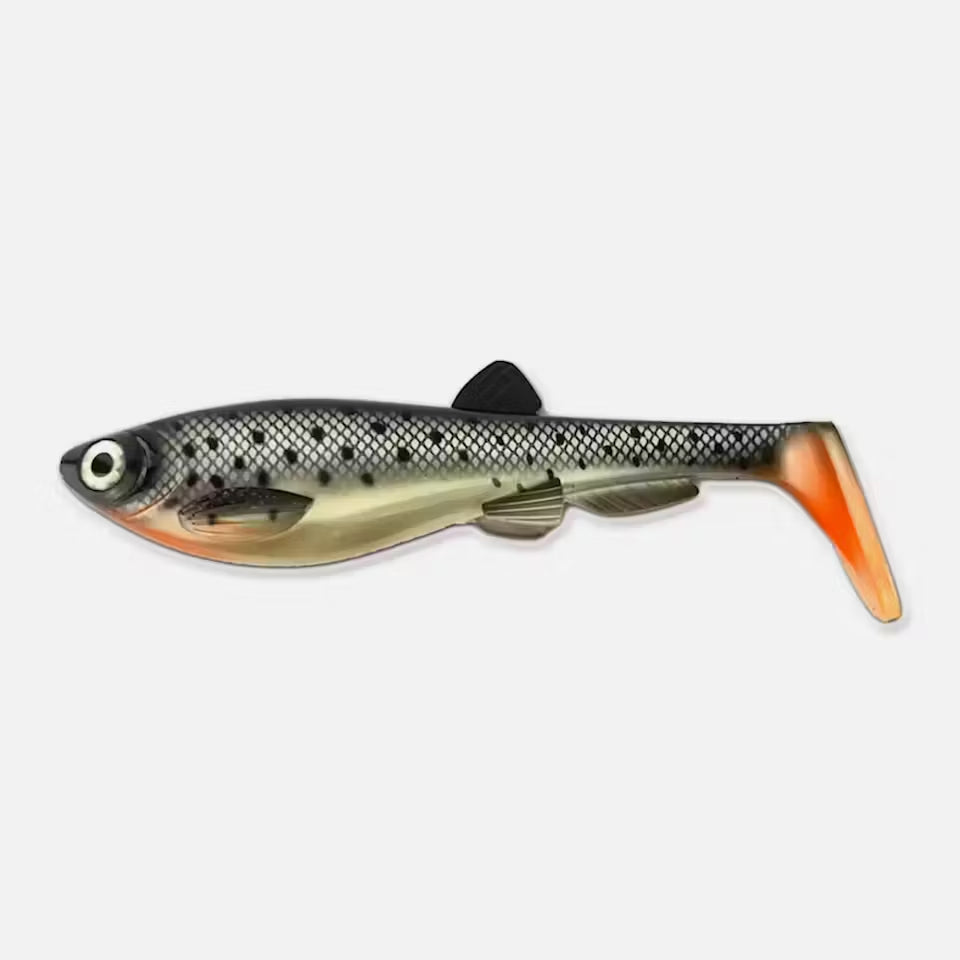Gigabite v2 21cm 96 g SEA TROUT / EN STL