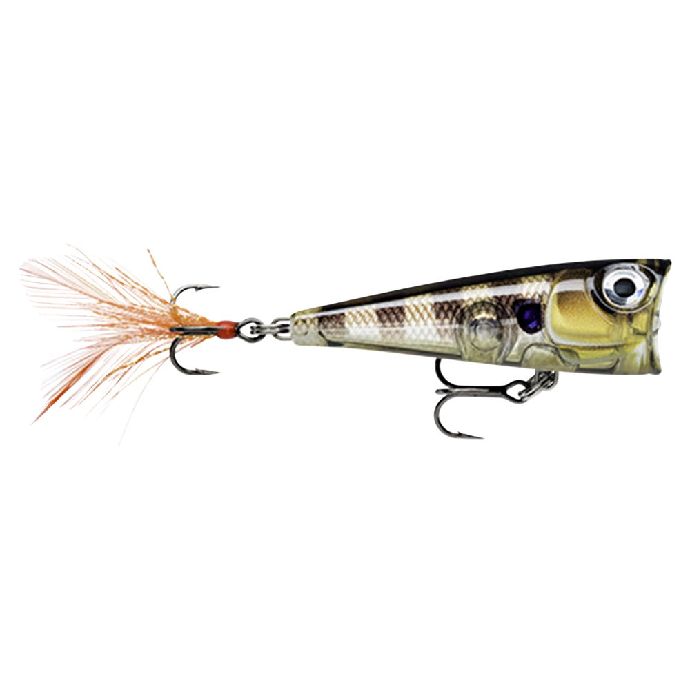 X-Light Pop 4 cm GLASSY GILL UV / 4 CM OCH 4,5 GRAM