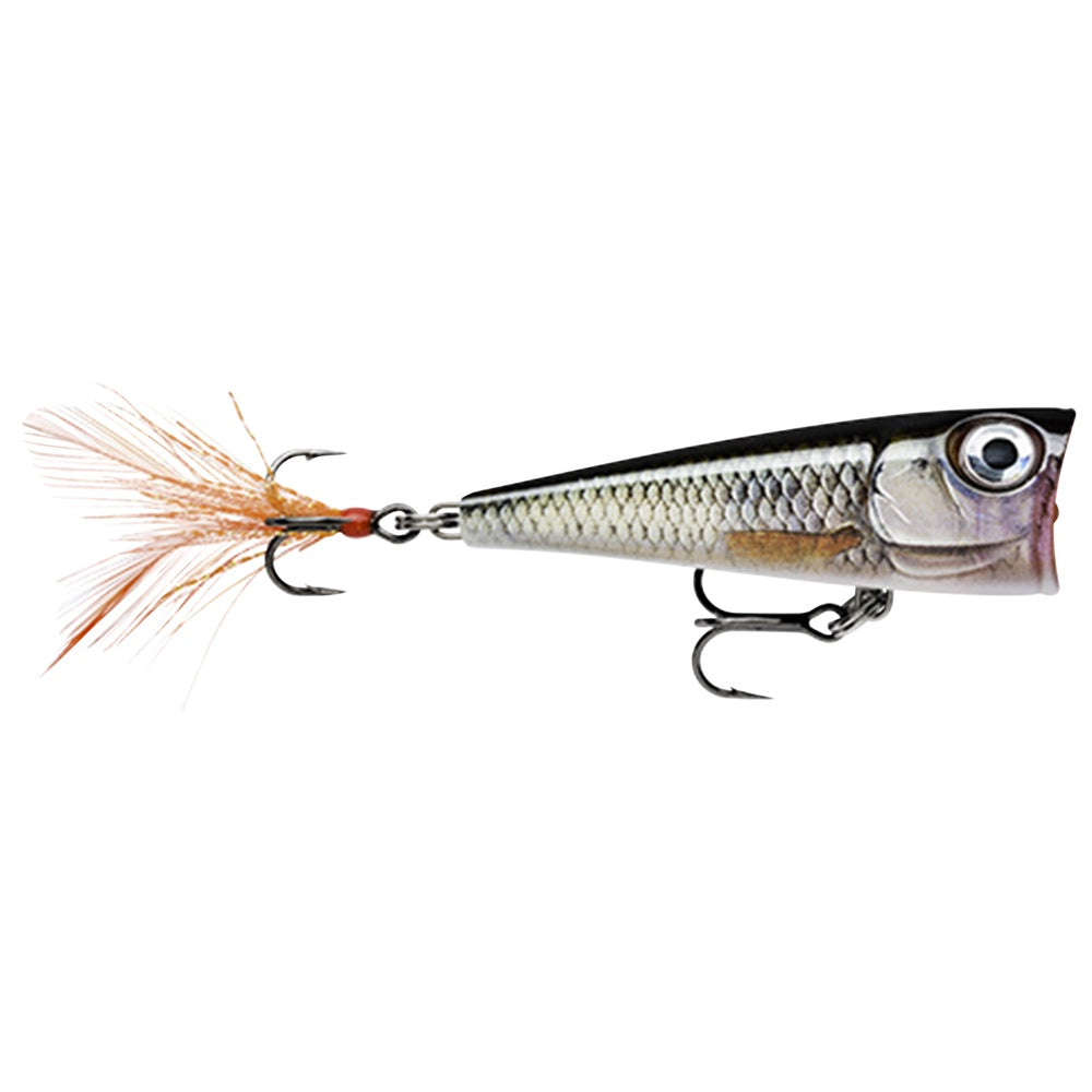 X-Light Pop 4 cm LIVE ROACH / 4 CM OCH 4,5 GRAM