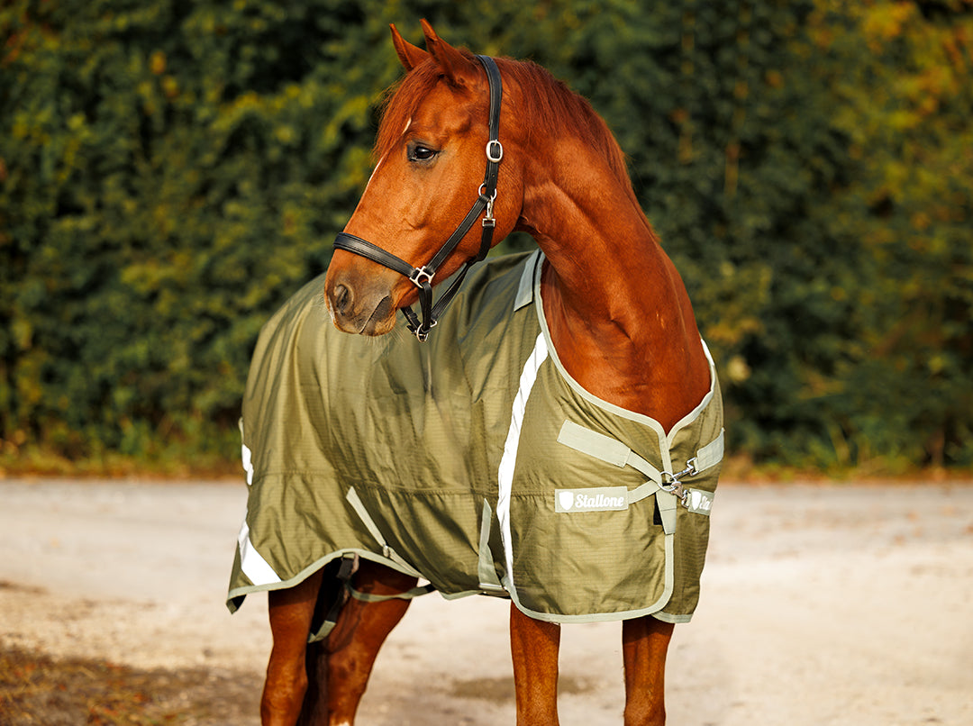 Utetäcke Denver 100 g OLIVE / 165 CM