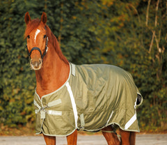 Utetäcke Denver 100 g OLIVE / 95 CM