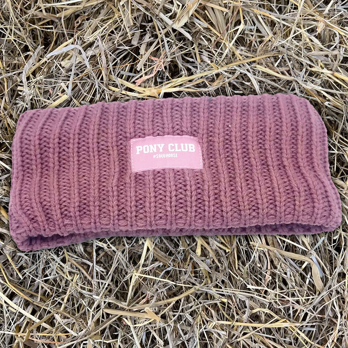 Pannband 